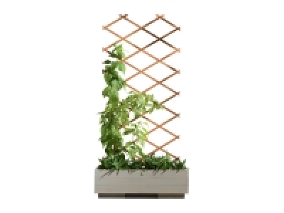 Lidl  Parkside Expanding Wooden Trellis