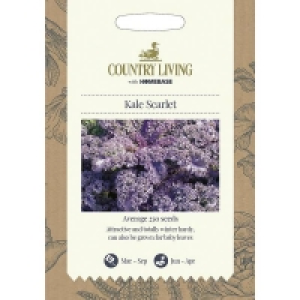 Country Living Kale Scarlet Seeds £2.20