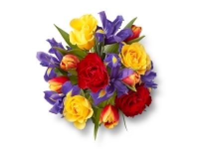 Rose, Tulip and Iris Trio