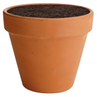 Homebase  Terracotta Plant Pot - 15cm