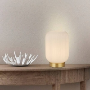 Pearl Frosted Table Lamp - White £20.00