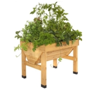 VegTrug Small Classic Raised Planter £139.99