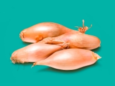 Echalion Shallots £0.59