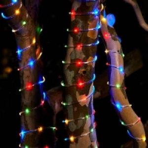Homebase Edit Micro 100 LED Solar Rope Lights £18.00