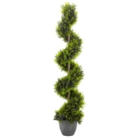 RobertDyas  Smart Garden Cypress Topiary Twirl
