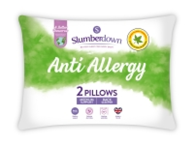 Slumberdown Anti-Allergy Pillow - 2 pack