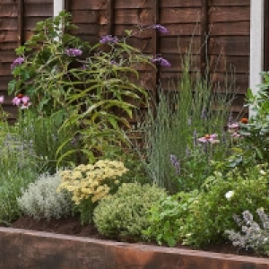 Homebase  Sensory Border Collection - 3m x 60cm