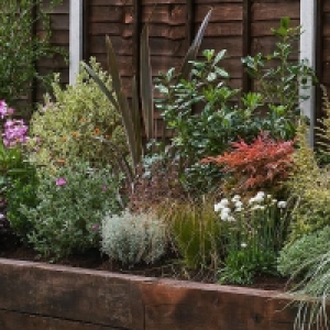 Garden on a Roll Eco Border - 7m x 40cm