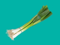 Lidl  Spring Onions