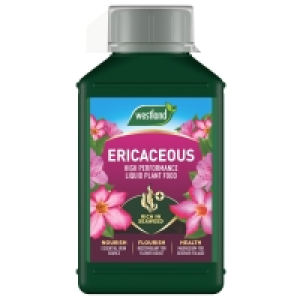 Specialist Ericaceous Plant Food 1L