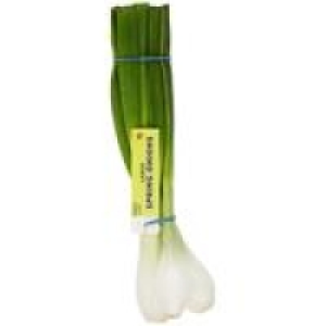 M&S Large Salad Onions £0.98