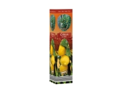 Mediterranean Plants £3.99