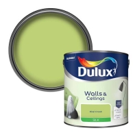 Homebase  Dulux Silk Emulsion Paint Kiwi Crush - 2.5L