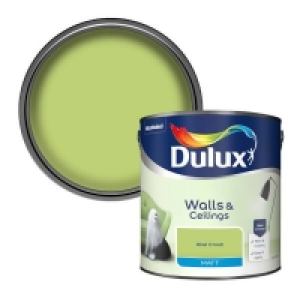 Dulux Matt Emulsion Paint Kiwi Crush - 2.5L £21.00