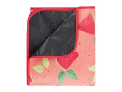 Livarno Home Picnic Blanket £11.99
