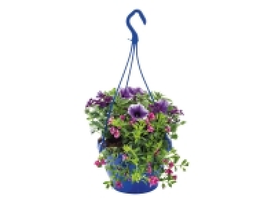 Lidl  Colourful Hanging Baskets