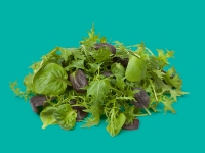 Oaklands Baby Leaf < Herb Salad