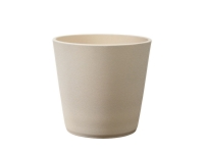 Houseplant Ceramic