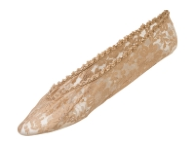 Esmara Ladies Footsies - 2 Pairs