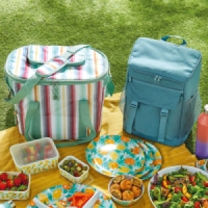 Picnic Cooler Bag & Backpack Mix