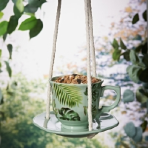 Tea Cup Bird Feeder - Green