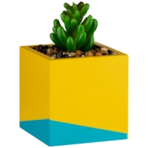 BMStores  Succulent in Wooden Pot - Yellow