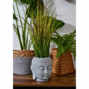Buddha Head with Grass