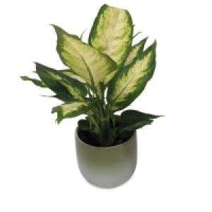Foliage In Ceramic