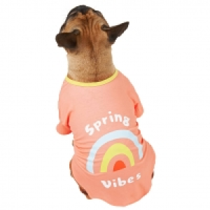 Dog Summer Shirt - Small - Spring Vibes