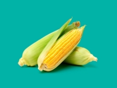 Fresh Corn Twin Pack £0.99