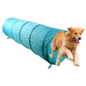 Dog Tunnel