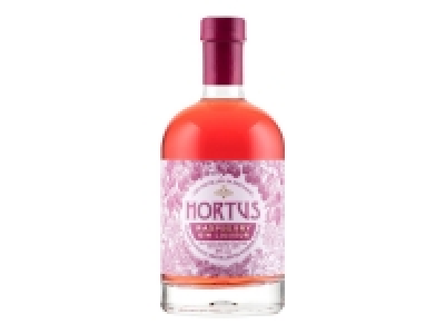 Hortus Raspberry Gin Liqueur