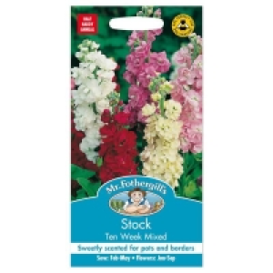 Mr. Fothergills Stock Ten Week Mixed Seeds £1.85