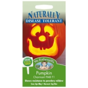 Mr. Fothergills Pumpkin Charmant F1 Seeds £3.10