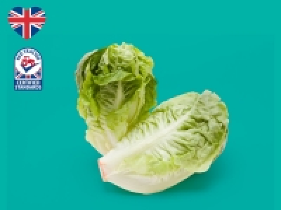 Little Gem Lettuce £0.55
