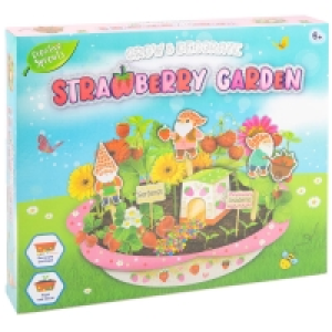 Grow & Decorate Strawberry Garden £6.00