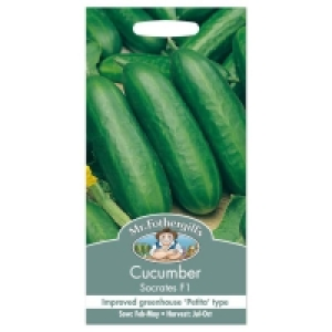 Mr. Fothergills Cucumber Socrates F1 Seeds £4.25