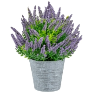 Heather In Plant Pot - Purple