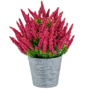 Heather In Plant Pot - Dark Pink