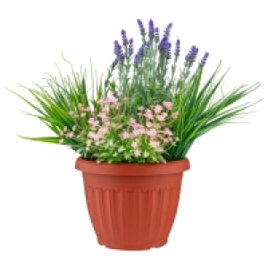 Flowers In Large Planter - Light Pink
