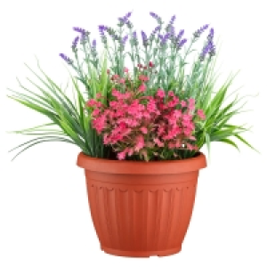 Flowers In Large Planter - Dark Pink