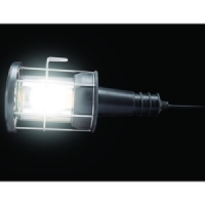 60W Inspection Lamp