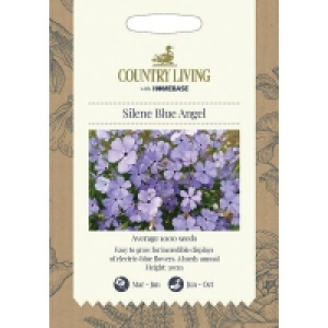 Country Living Silene Blue Angel Seeds £1.90