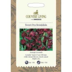 Country Living Sweet Pea Beaujolais Seeds £2.40