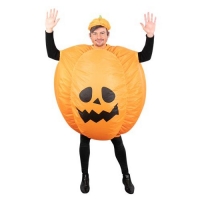 Poundland  2 Ast Inflatable Costumes-Topg