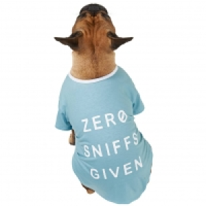 Dog Summer Shirt - Small - Zero Sniffs Given