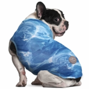 Medium Dog Cooling Vest - Blue
