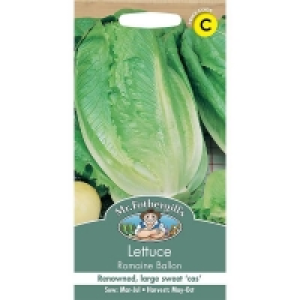 Mr. Fothergills Lettuce Romaine Ballon Seeds £2.15