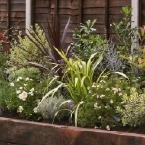 Wickes  Garden on a Roll Mediterranean Plant Border - 600mm x 8m