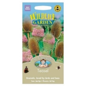 Mr. Fothergills Teasel Seeds £2.40